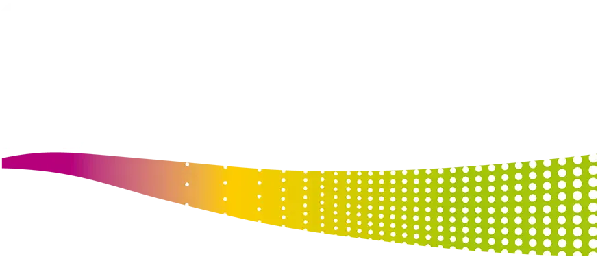 Diserpro - client - Electro Painters SA